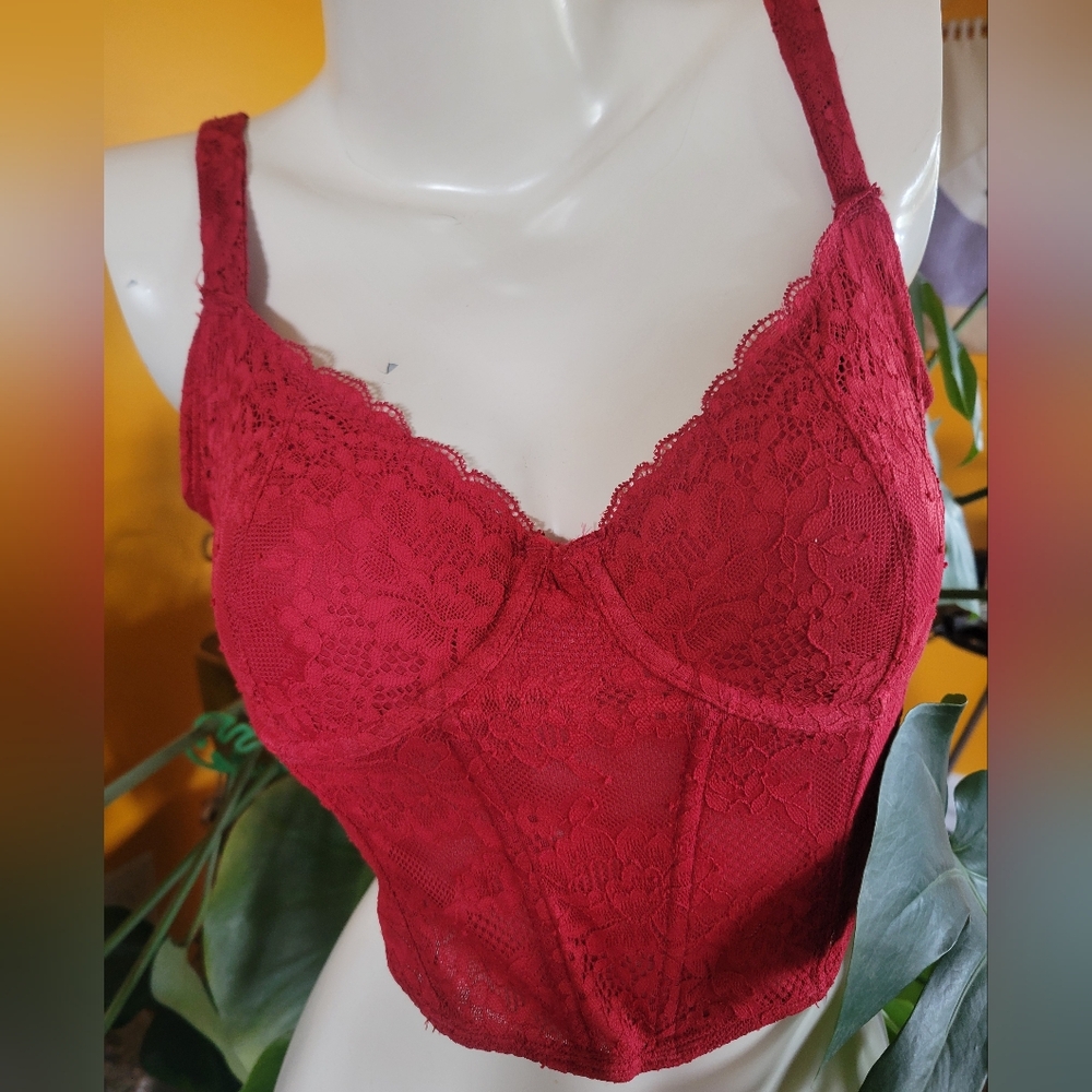 Gilly Hicks Corset Top